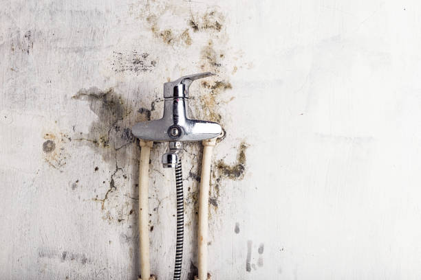 Best Residential Mold Removal  in Appalachia, VA