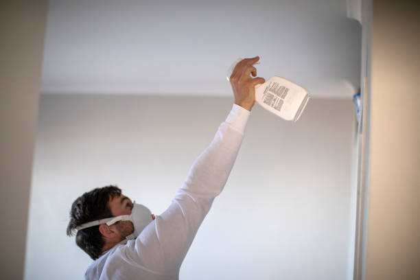 Reliable Appalachia, VA Mold Removal Solutions