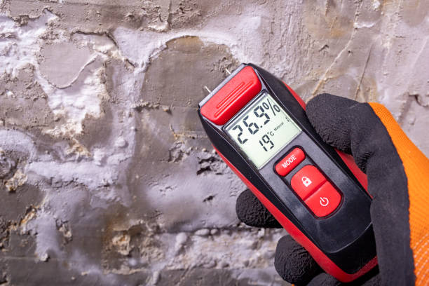 Best Mold Remediation  in Appalachia, VA