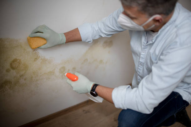Water Damage Restoration in Appalachia, VA