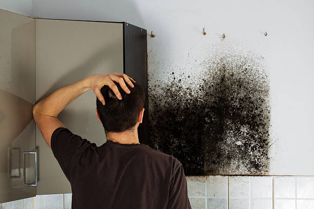 Best Toxic Mold Removal  in Appalachia, VA